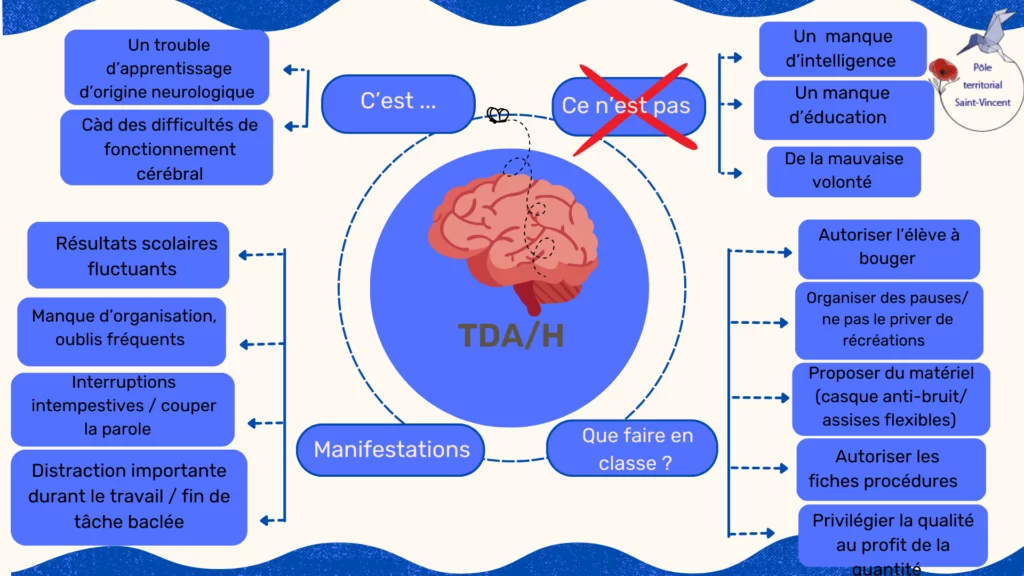 Carte mentale TDAH - ressources